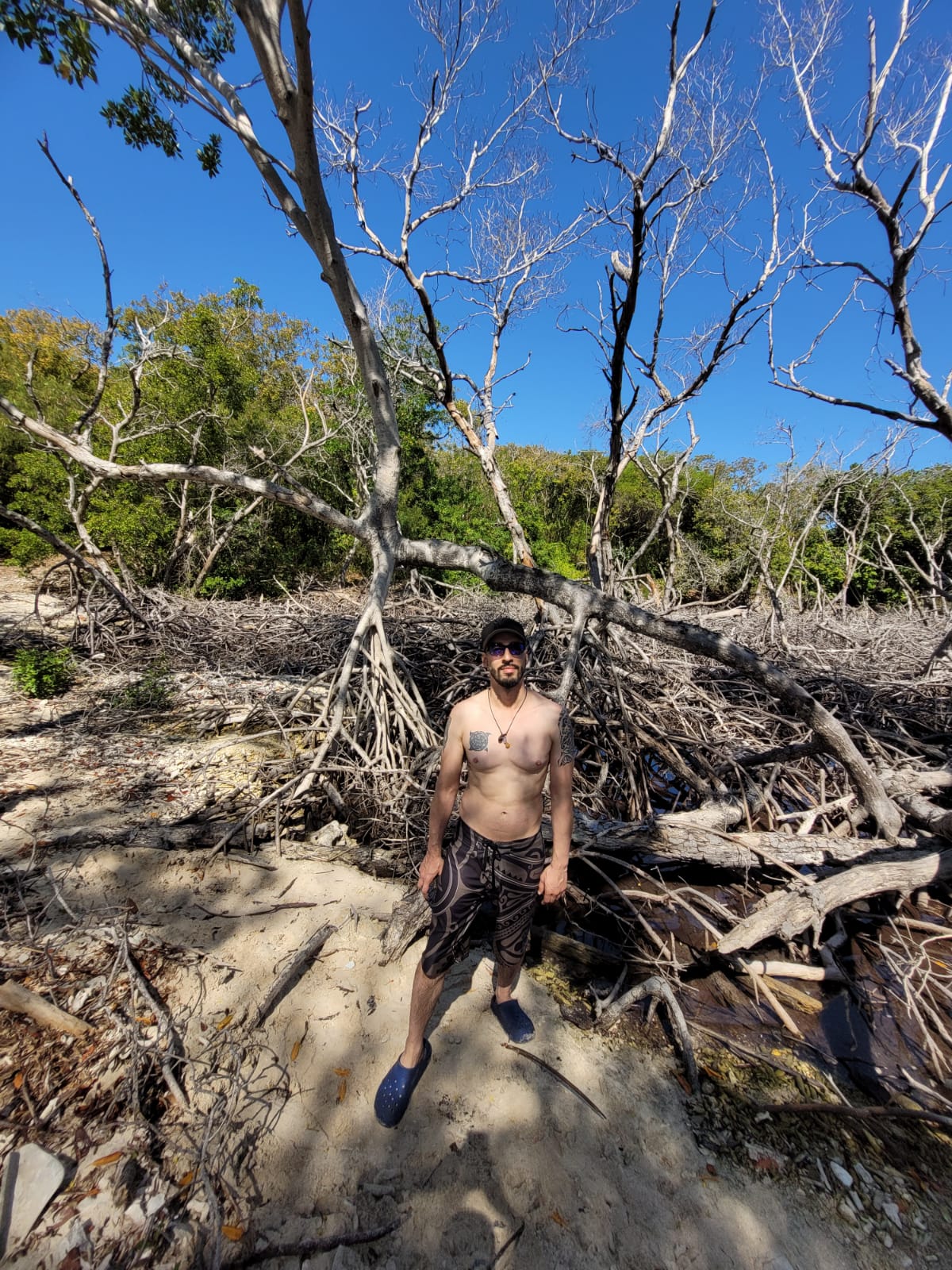 Mangrove Reforestation Tour