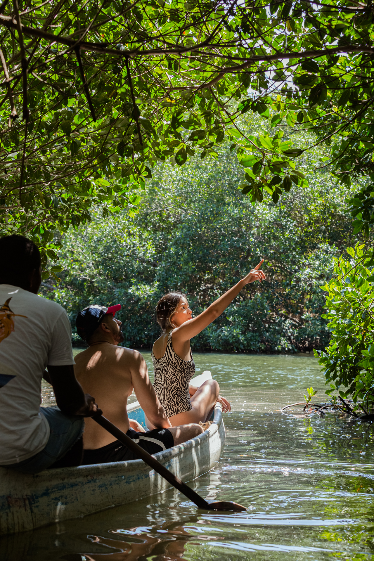 Mangrove Tunnel Canoe Tour