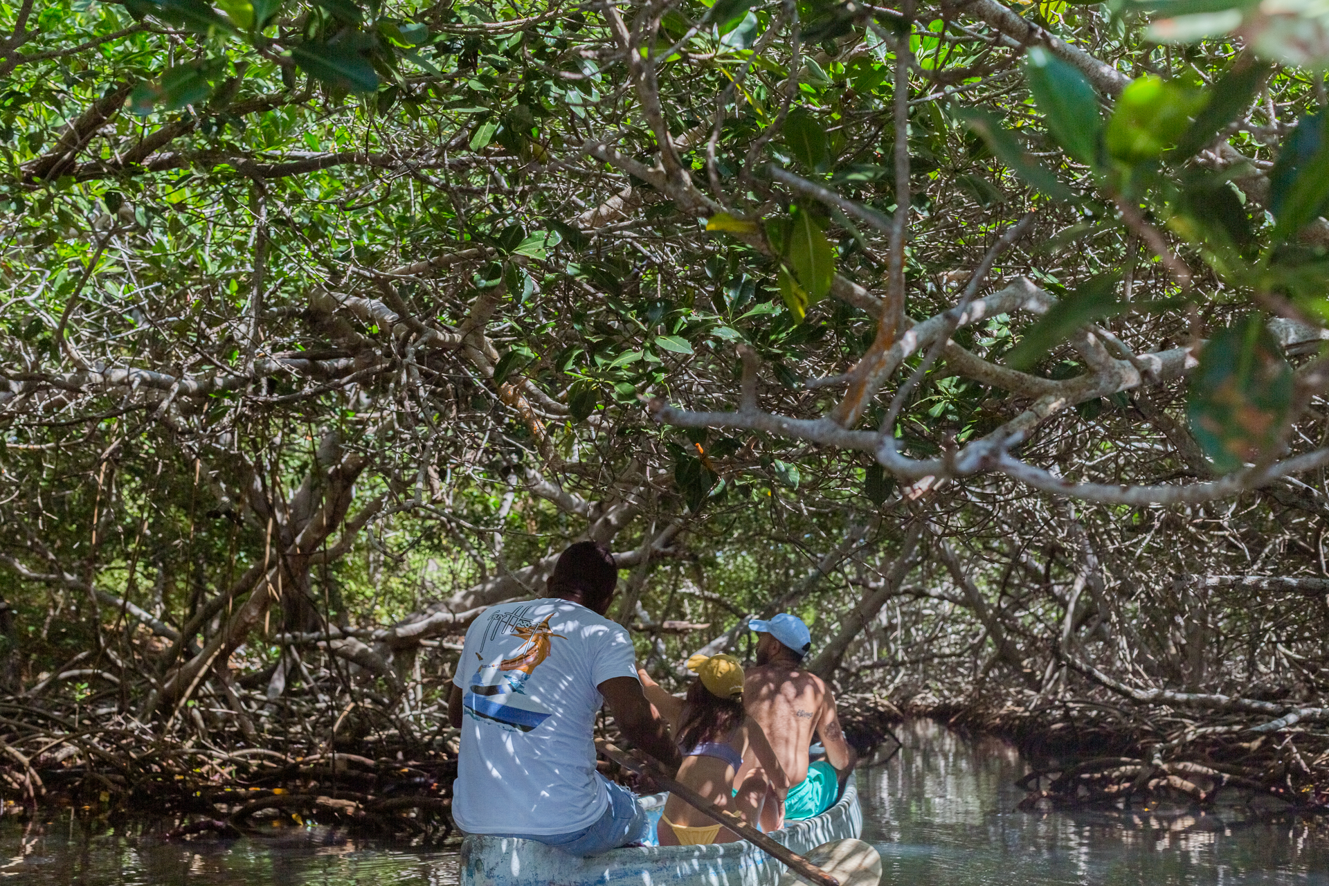Mangrove Tunnel Canoe Tour
