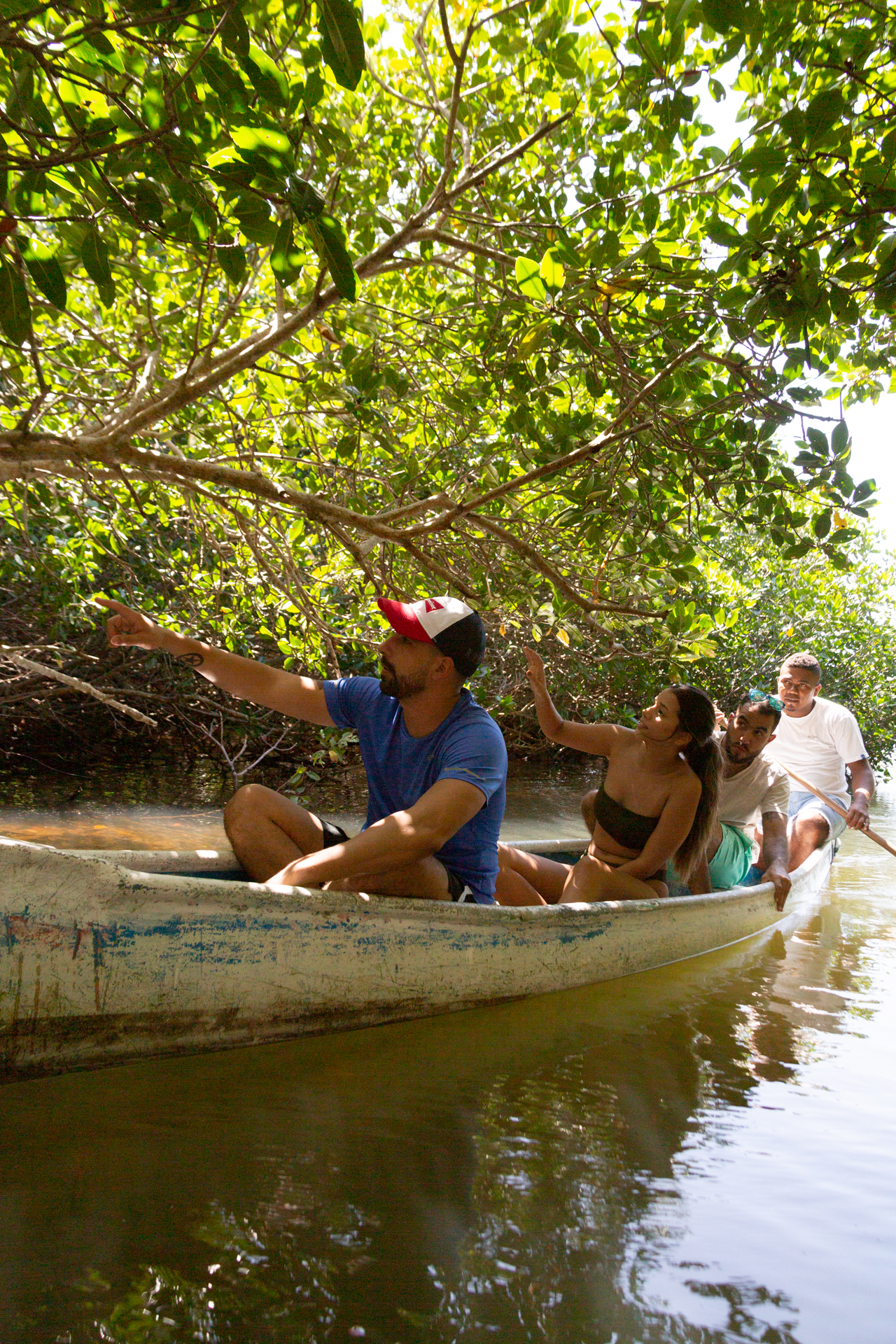 Mangrove Tunnel Canoe Tour